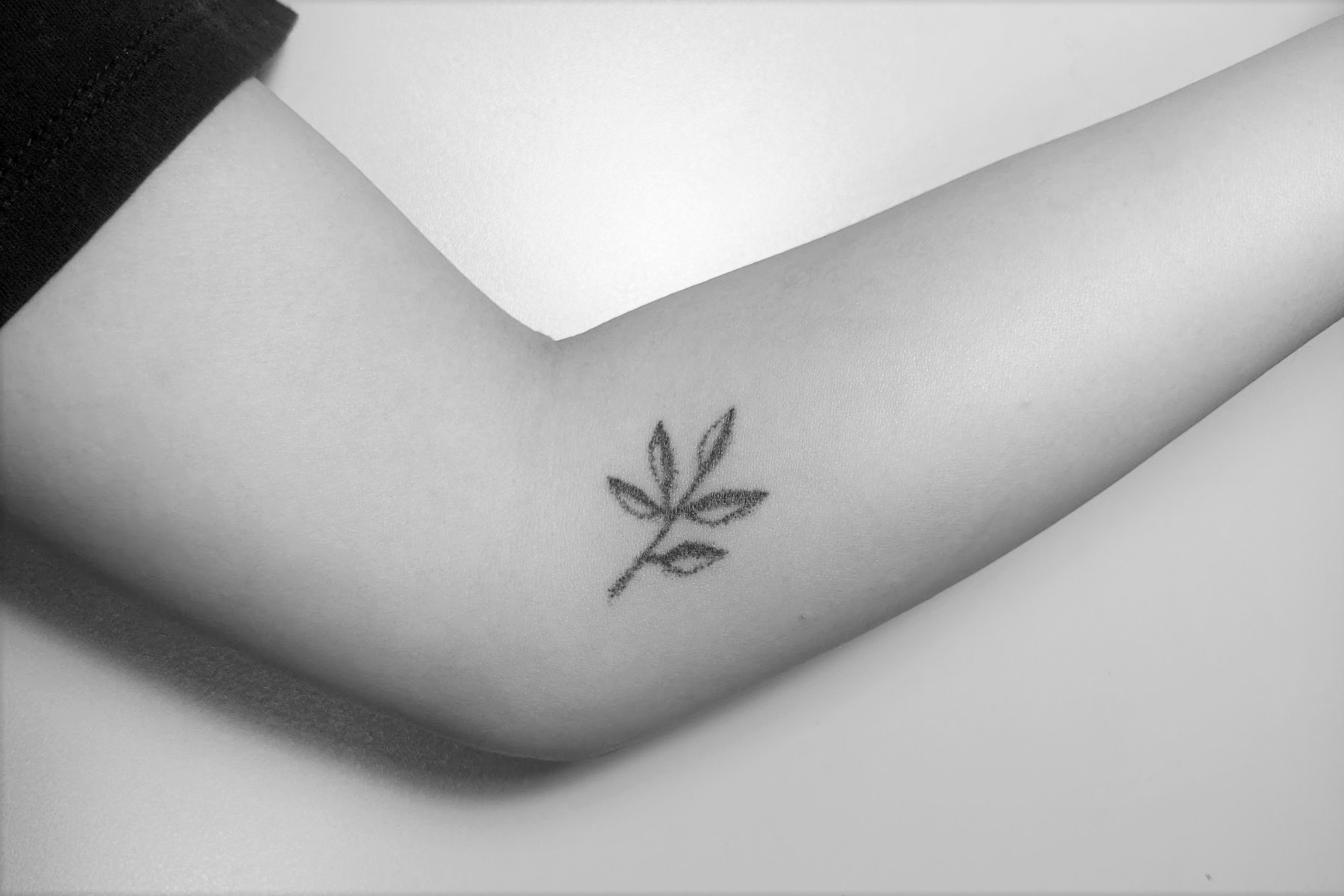 Tattoo of leaf